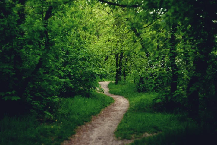 Proleće (Spring)
